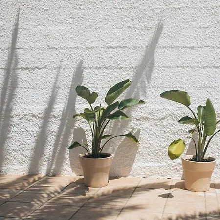 Nyaraló Calma House - Costa Blanca Calpe