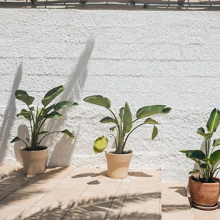 Nyaraló Calma House - Costa Blanca