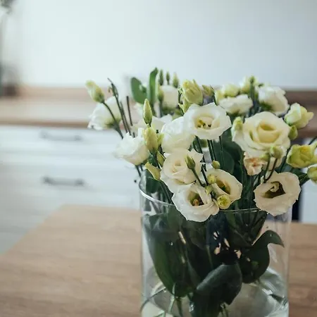 Σπίτι διακοπών Calma House - Costa Blanca *