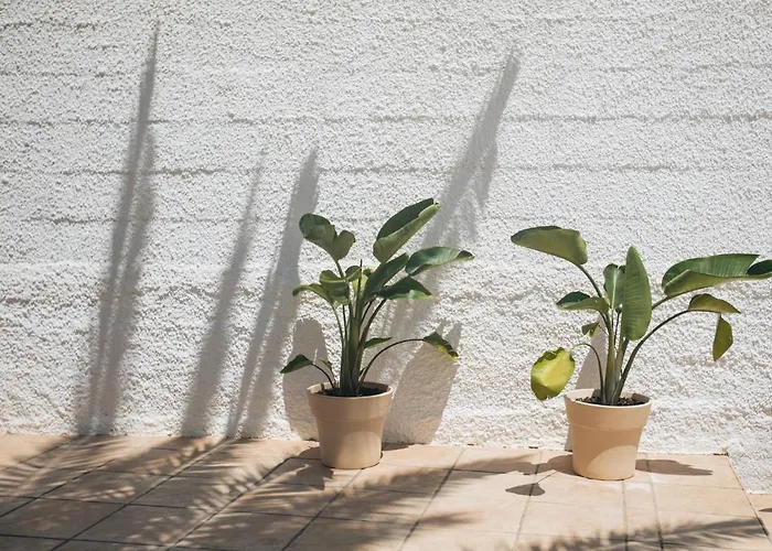 بيت للعطل Calma House - Costa Blanca كاليبي