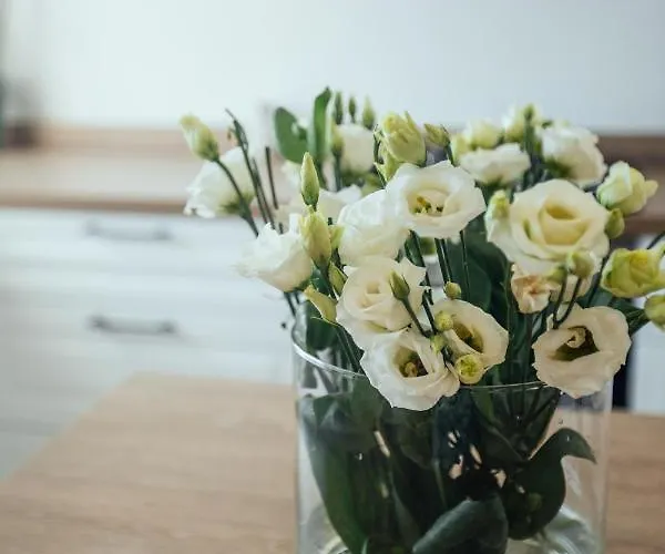 Holiday home Calma House - Costa Blanca *