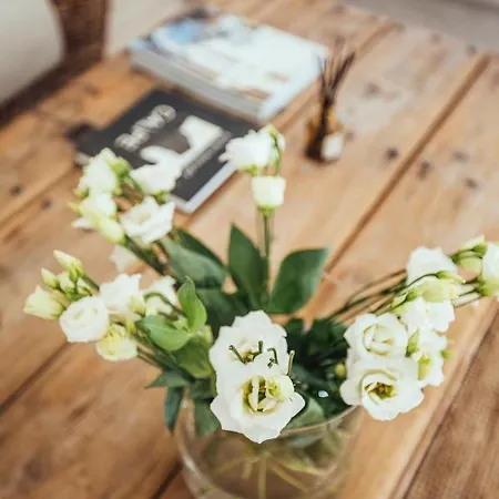 Calma House - Costa Blanca *