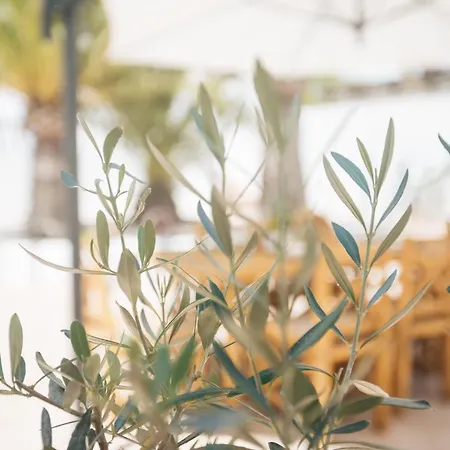 Сasa de vacaciones Calma House - Costa Blanca